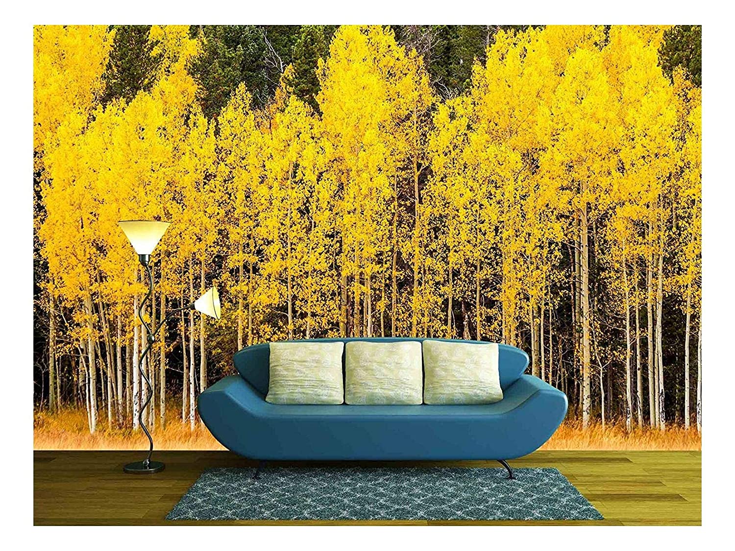 Stand Of Changing Yellow Aspen Tree In Front Of Dark - Studio Couch , HD Wallpaper & Backgrounds
