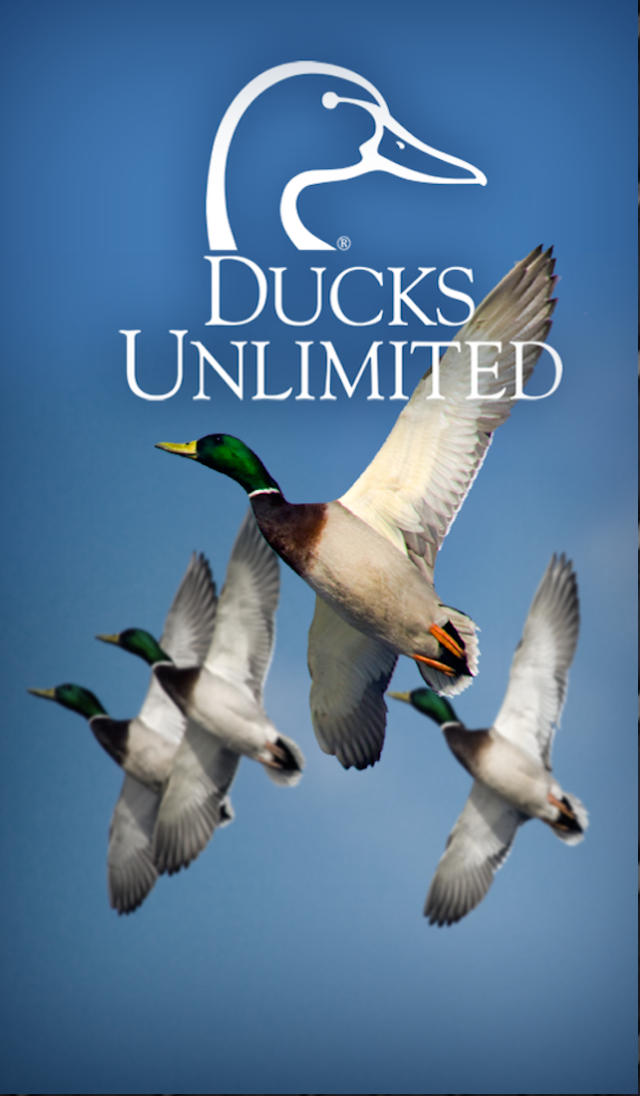 Ducks Unlimited Membership - Logo Ducks Unlimited , HD Wallpaper & Backgrounds