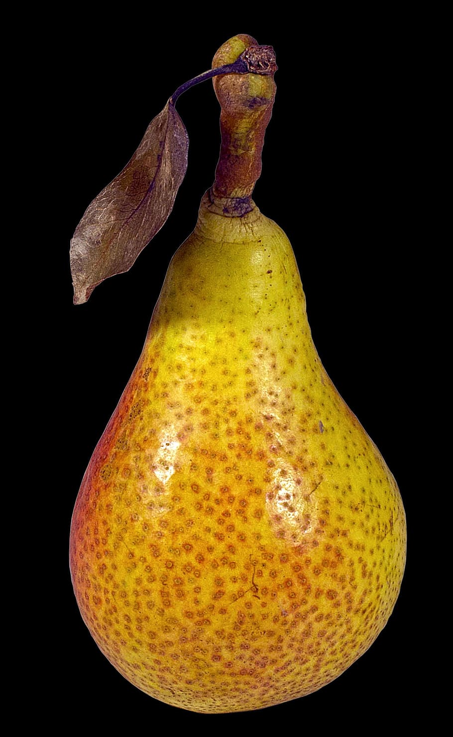 Pear, Williams Christ, Dessert Fruit, Precious Fruit, - Para Williams , HD Wallpaper & Backgrounds