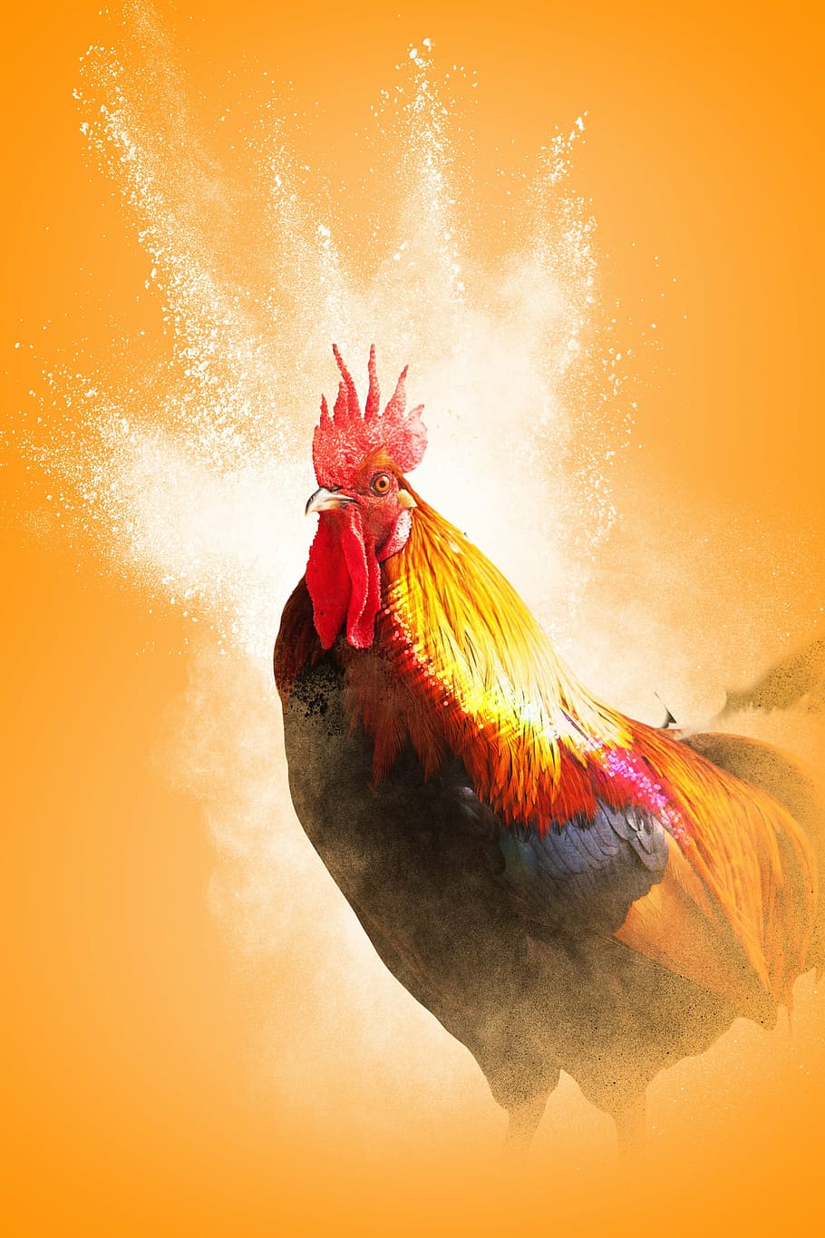 Red And Yellow Rooster Wallpaper, Cock, Year Of The - Yellow Rooster , HD Wallpaper & Backgrounds