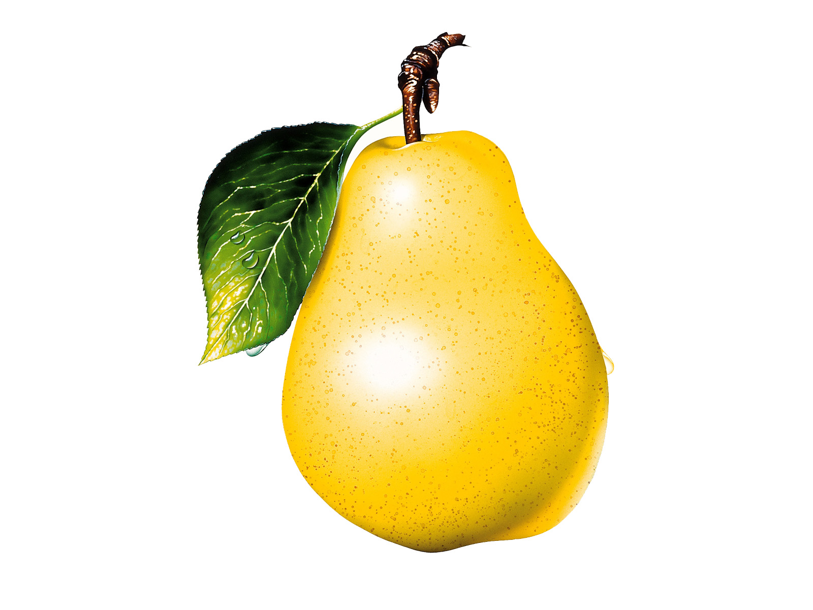 Pear Png , HD Wallpaper & Backgrounds