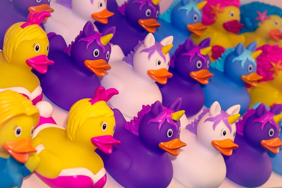 Download Duck, Bath Duck, Squeak Duck, Rubber Duck, Funny, Colorful