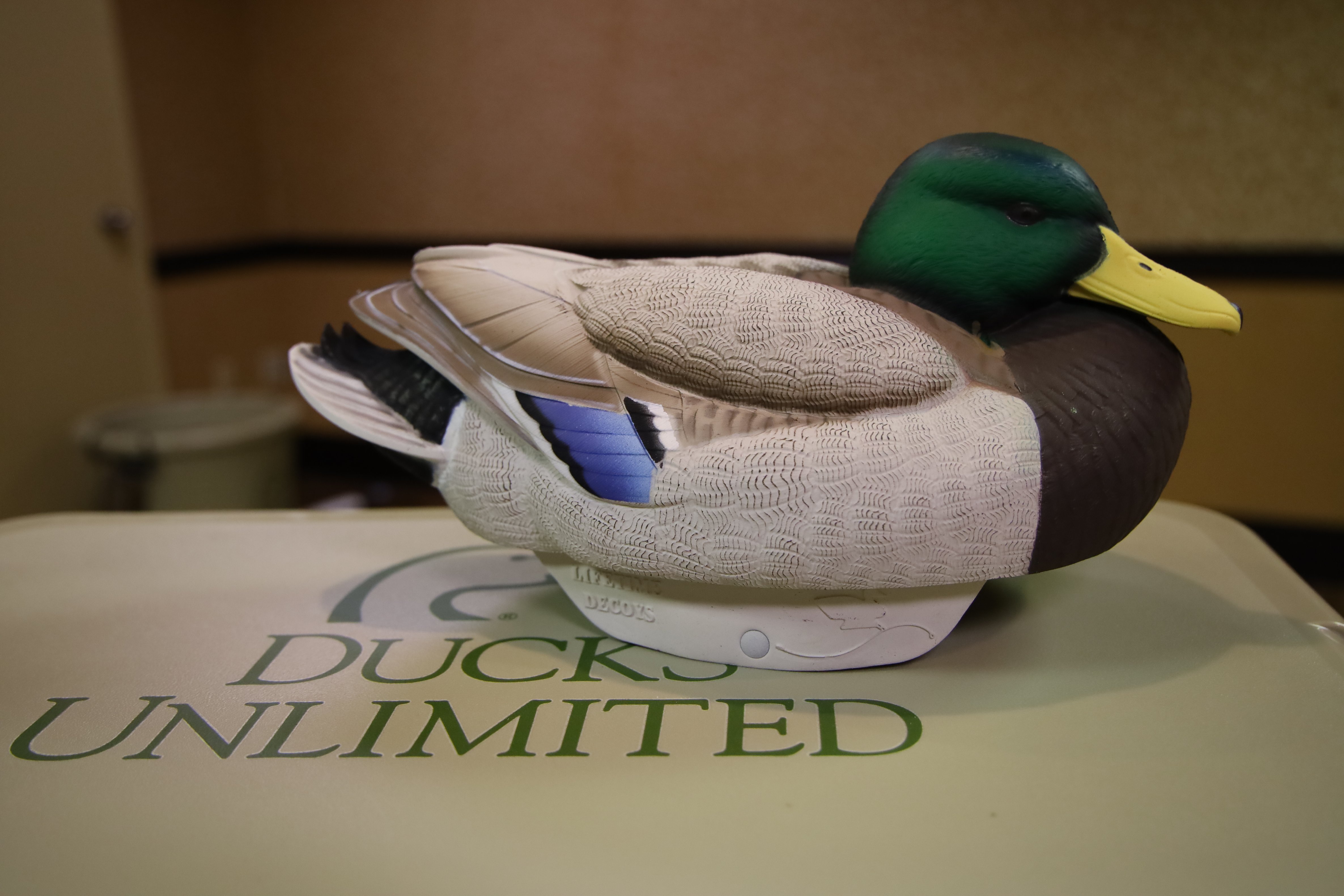 Ducks Unlimited Ducks , HD Wallpaper & Backgrounds