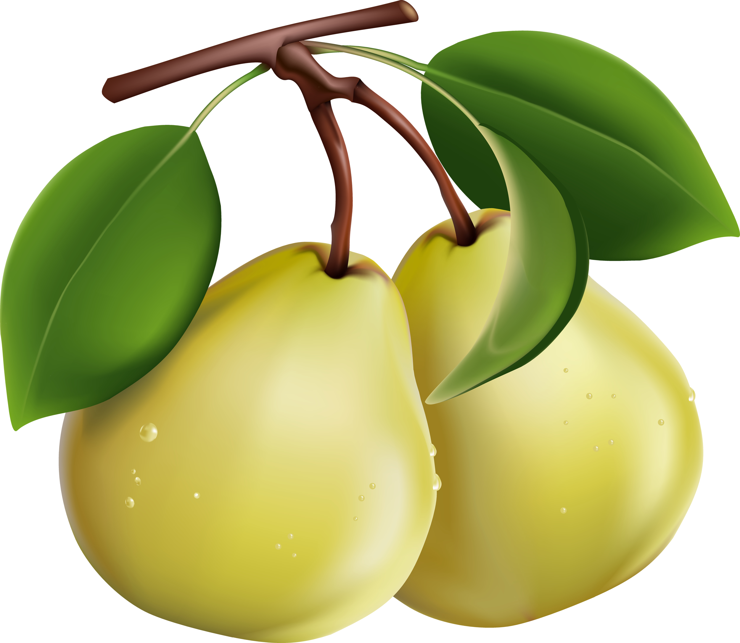 Download Clipart, Pears, Photo - Pear Fruit Benefits For Babies , HD Wallpaper & Backgrounds