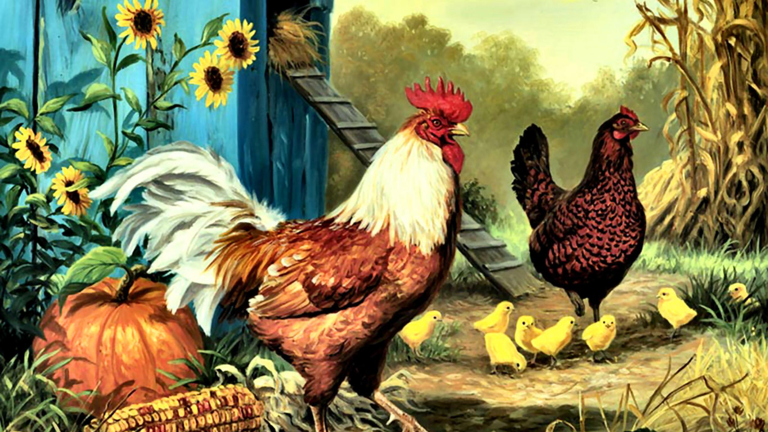 Collection Of Rooster Backgrounds Rooster Hd Wallpapers - Chicken Painting , HD Wallpaper & Backgrounds