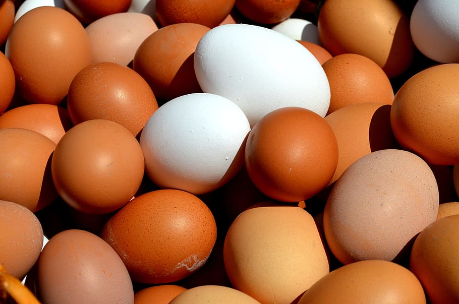 Closeup Photo Of Stack Of Orange And White Eggs, Hen - Chickens Eggs , HD Wallpaper & Backgrounds