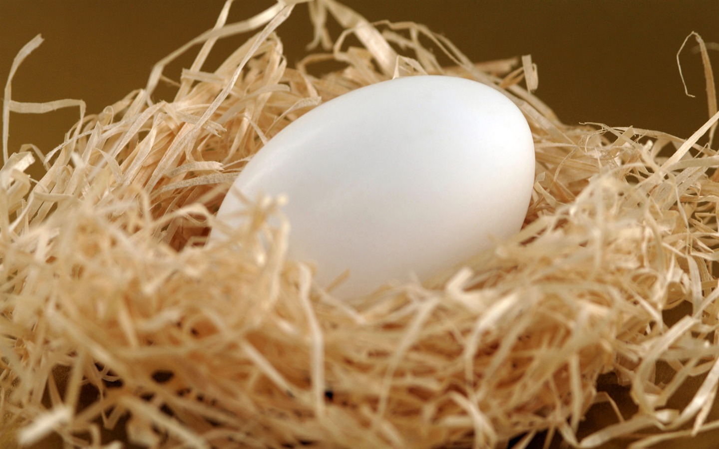 Easter Egg Wallpaper - Egg In Nest Quotes , HD Wallpaper & Backgrounds