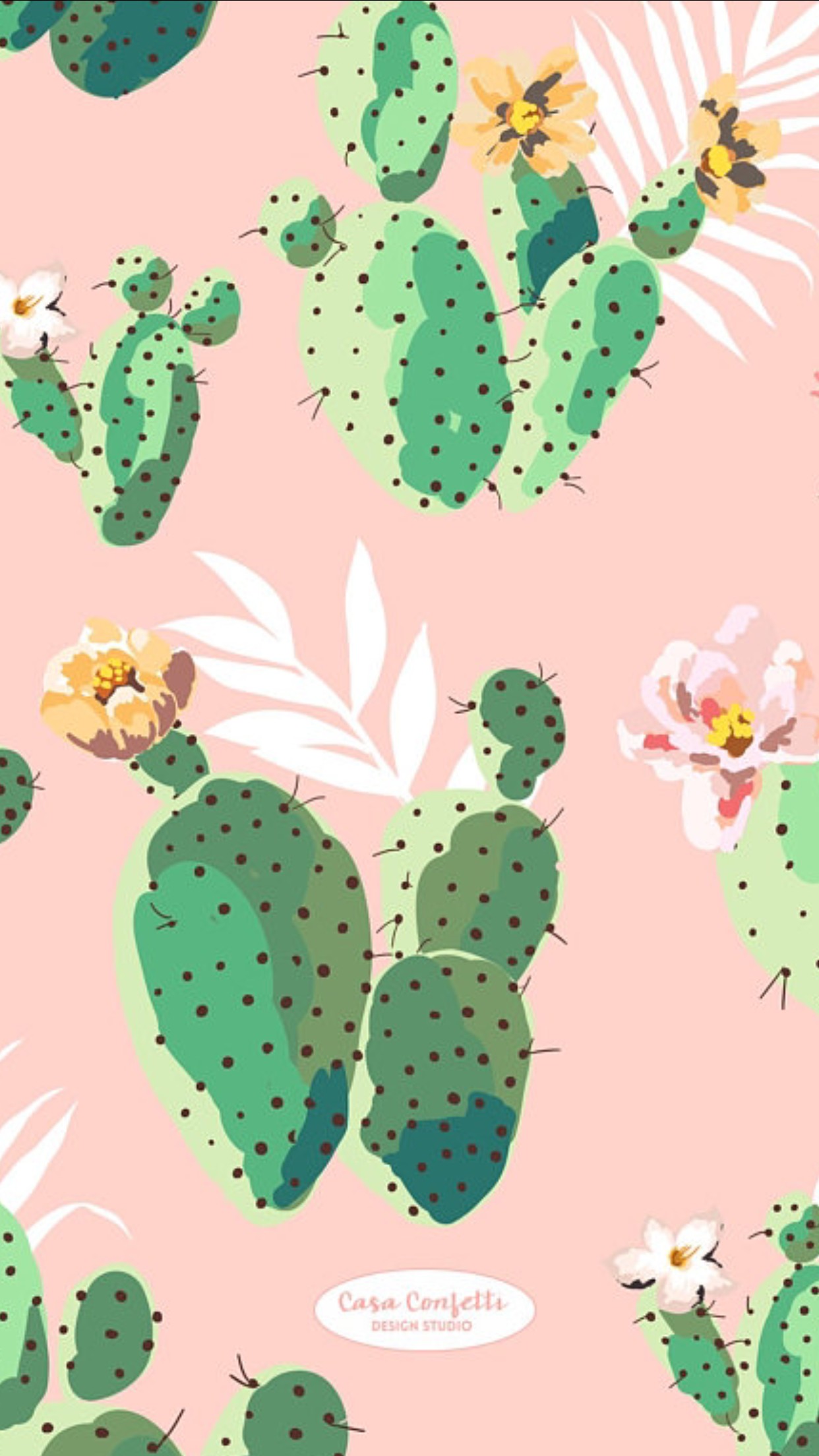 Cactus, Barbary Fig, Nopal, Prickly Pear, Plant, Prickly - Aesthetic Wallpapers Cactus , HD Wallpaper & Backgrounds