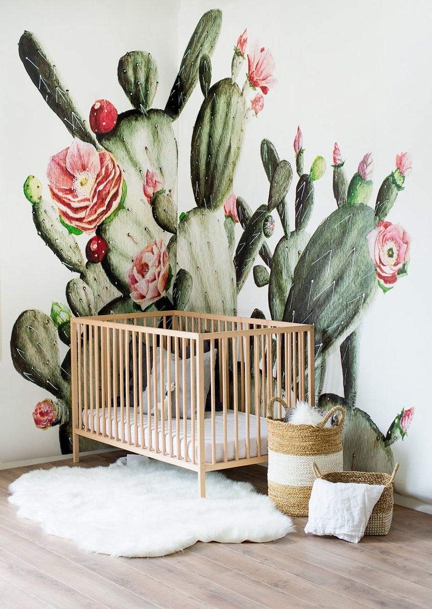 Cactus Mural , HD Wallpaper & Backgrounds