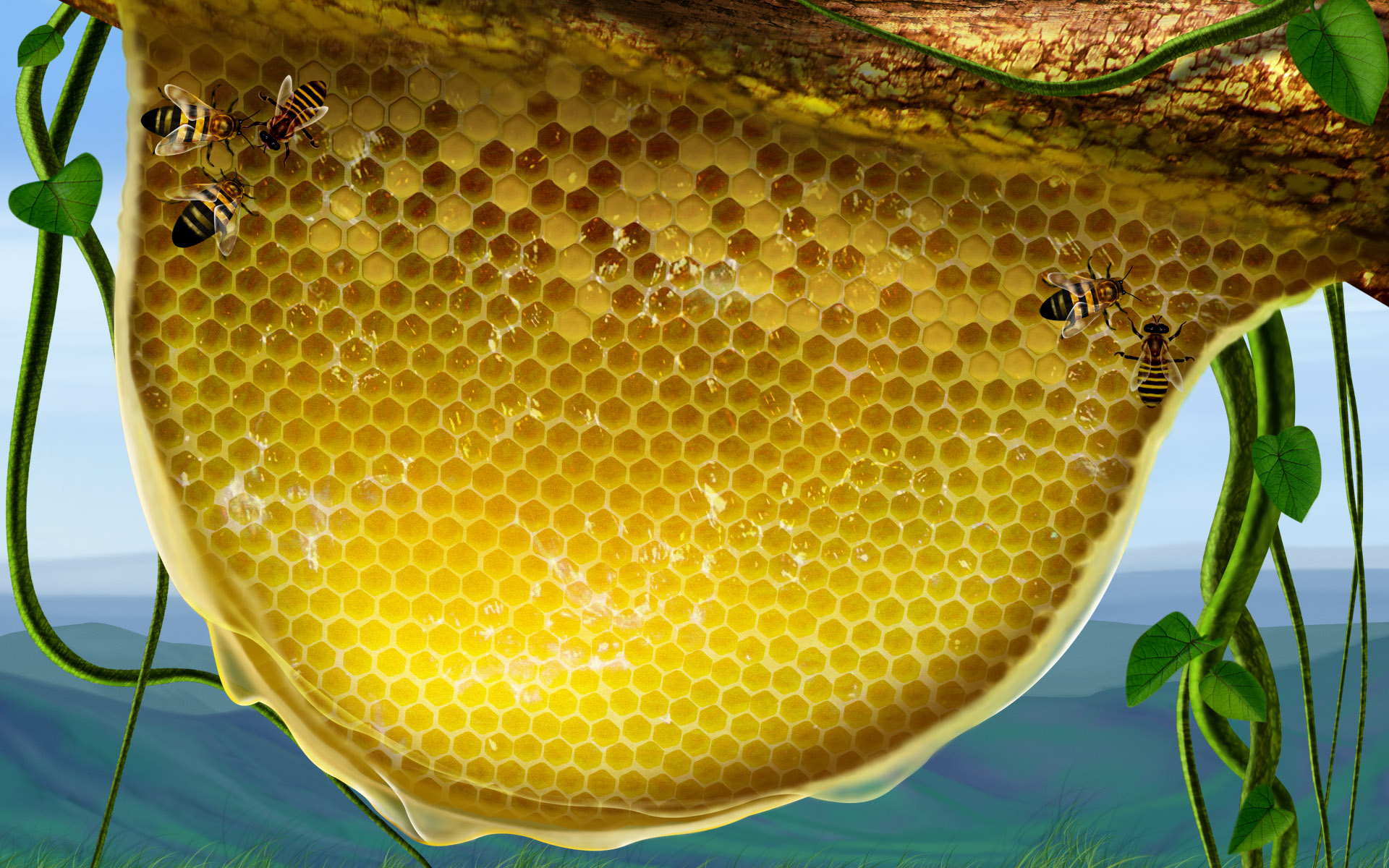 Honeycomb Desktop Pc And Mac Wallpaper - Honey Bee Images Hd , HD Wallpaper & Backgrounds