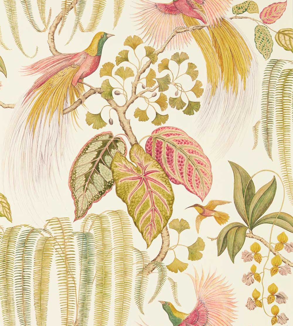 Bird Of Paradise Wallpaper Sanderson , HD Wallpaper & Backgrounds