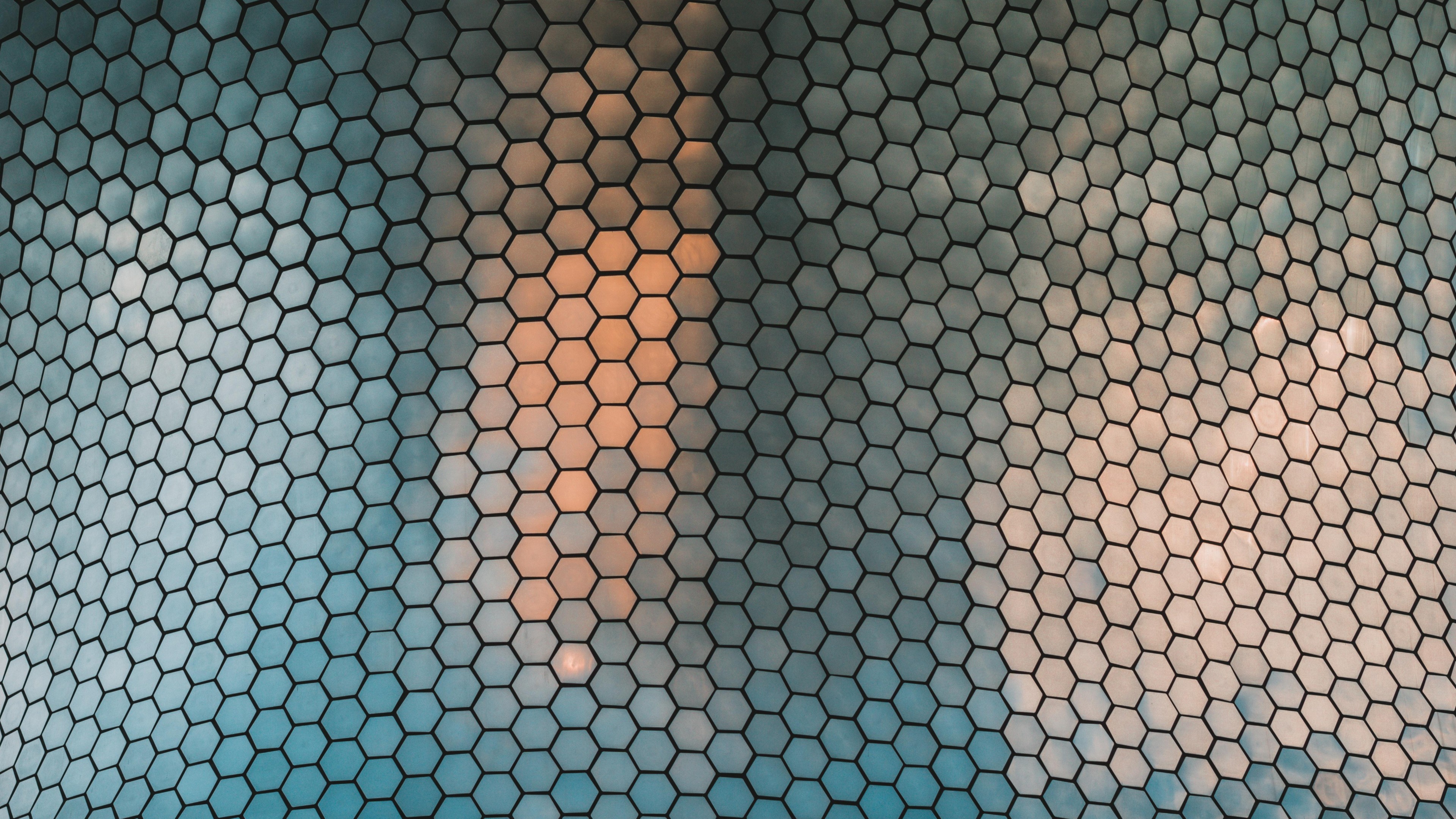 Honeycomb Wallpaper Hd , HD Wallpaper & Backgrounds