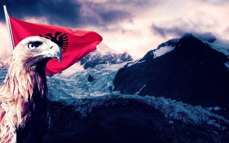 Happy Independence Day Albania , HD Wallpaper & Backgrounds