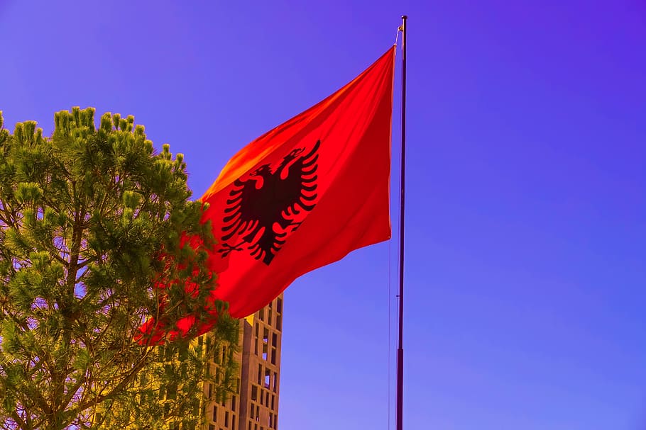 Albanian, Flag, Tirana, Red, Sky, Nature, Blue, Plant, - Albanian Flag , HD Wallpaper & Backgrounds