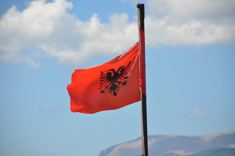 Orange And Black Twin Head Dragon Print Flag Preview - Skanderbeg Statue , HD Wallpaper & Backgrounds