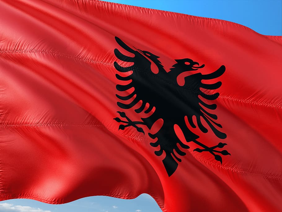 International, Flag, Albania, Red, Human Body Part, - Transparent Albania Flag Png , HD Wallpaper & Backgrounds