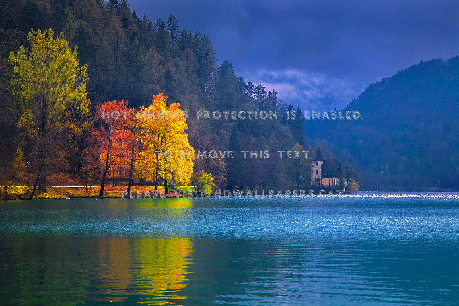 Lake Bled-slovenia Lovely Bank Nice Leaves - Slovenia , HD Wallpaper & Backgrounds