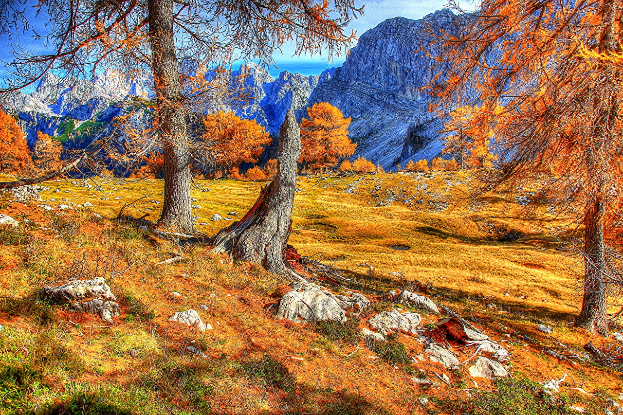 Hdr Autumn , HD Wallpaper & Backgrounds