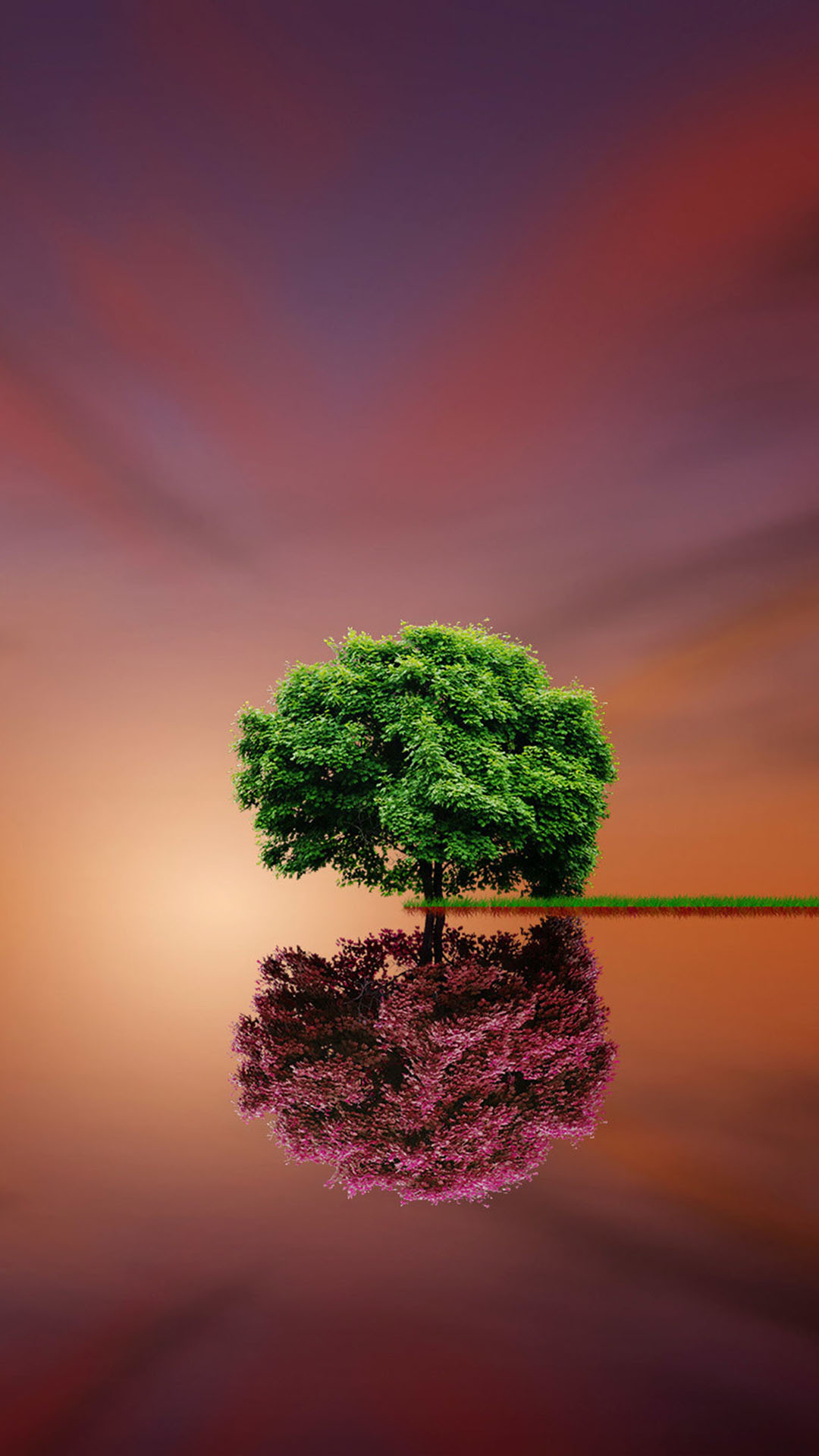 Tree Reflection Green Volet - Hd Tree , HD Wallpaper & Backgrounds