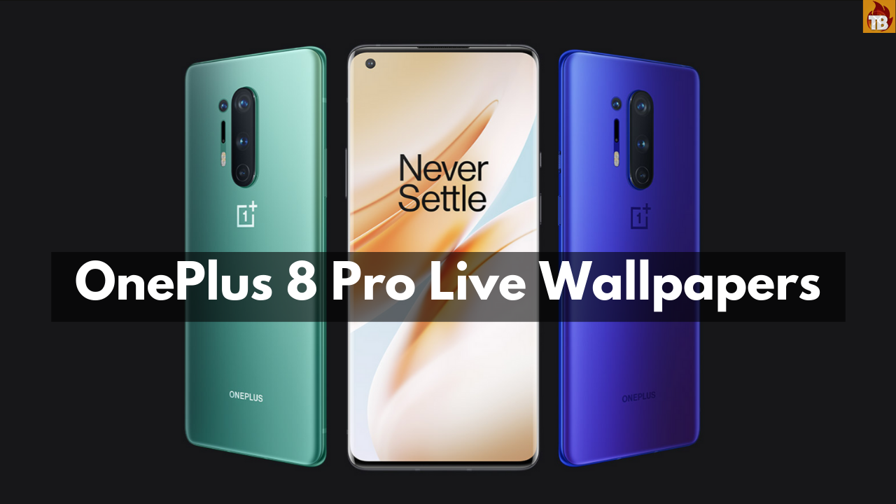 Oneplus 8 Pro Live , HD Wallpaper & Backgrounds