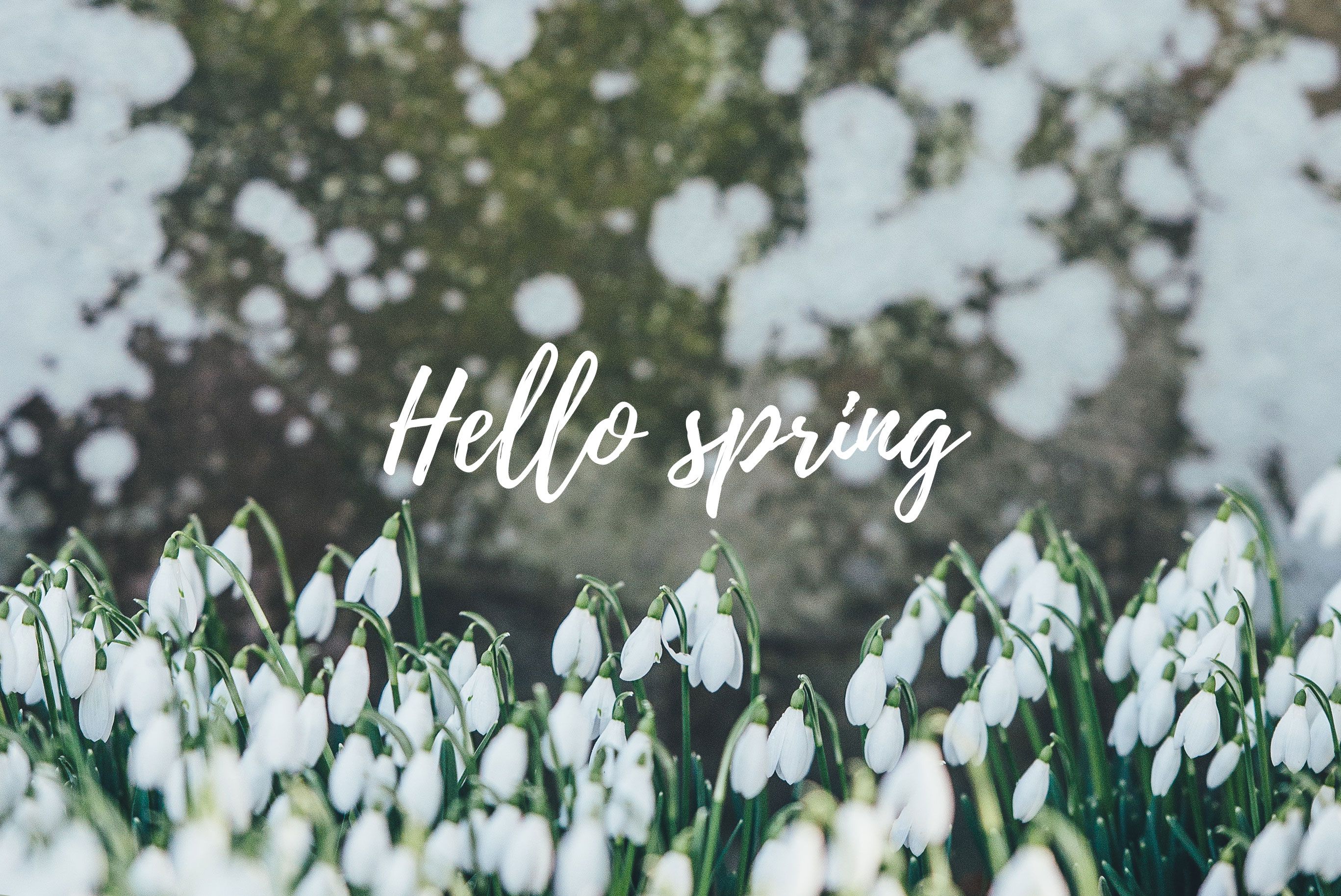 Aesthetic Spring Computer Backgrounds , HD Wallpaper & Backgrounds