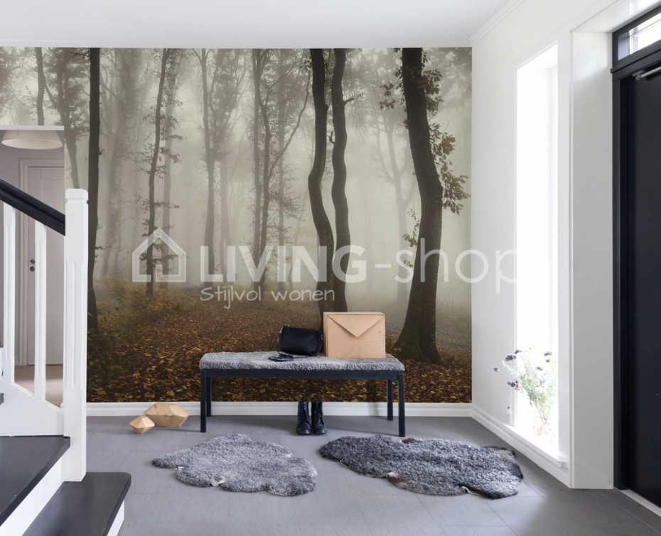 Painel Fotográfico Em 3d , HD Wallpaper & Backgrounds