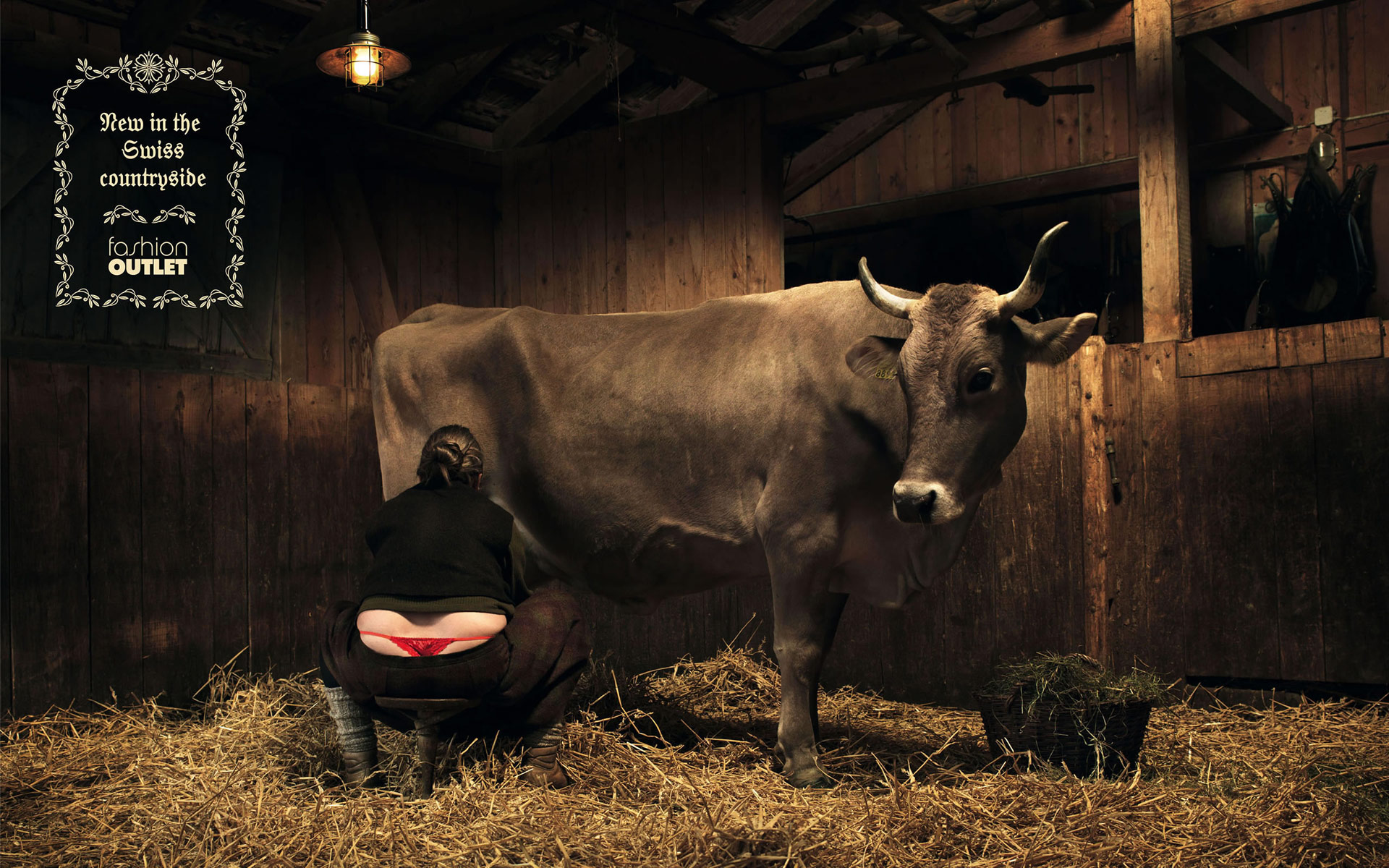 Sexy Girl Milking Cow , HD Wallpaper & Backgrounds