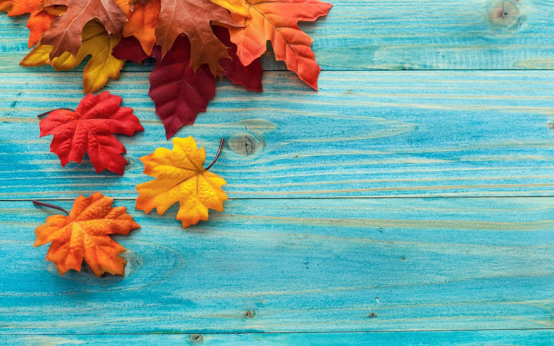 Fall Backgrounds , HD Wallpaper & Backgrounds