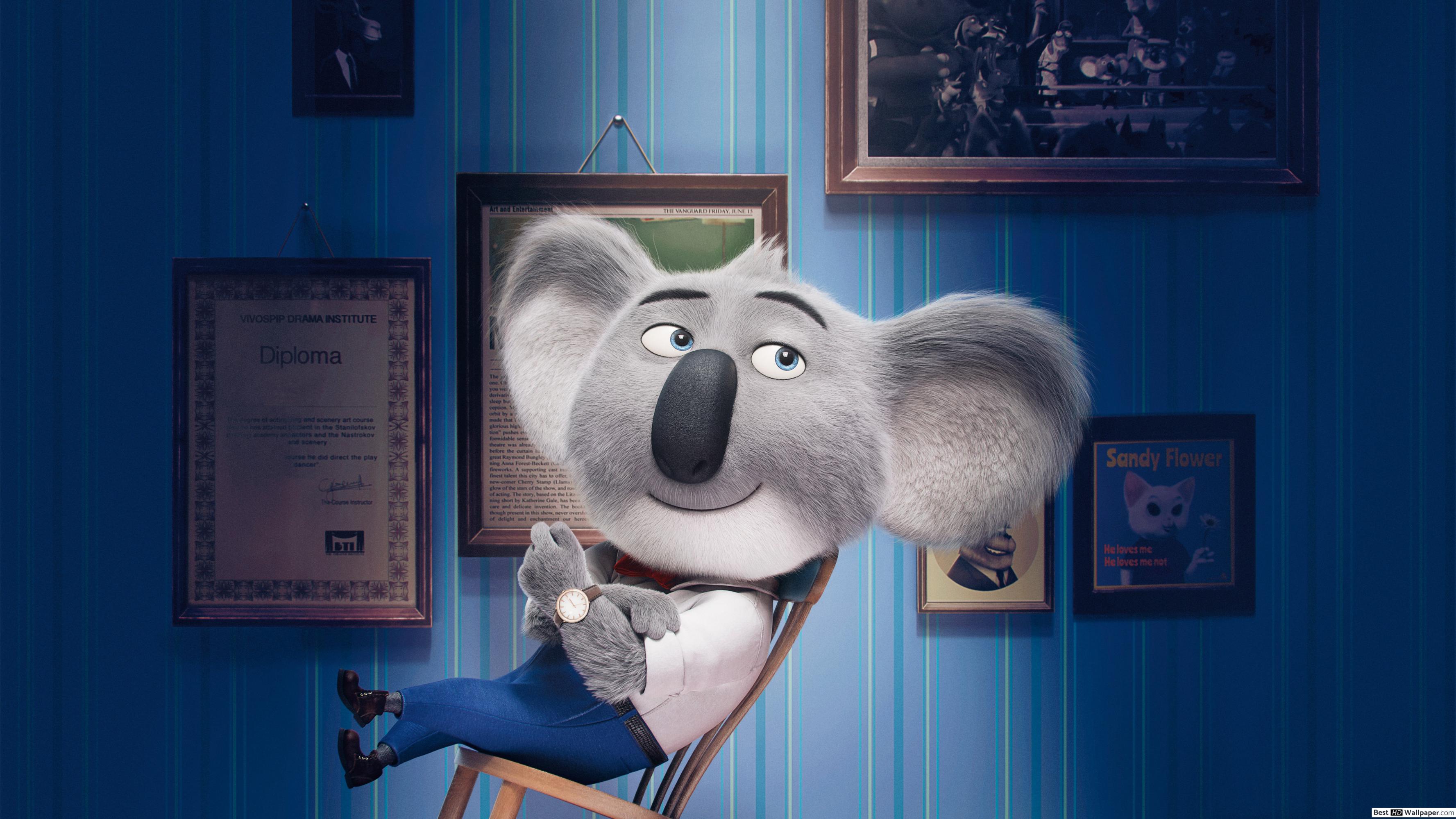 Movie Cartoon Koala Bear , HD Wallpaper & Backgrounds