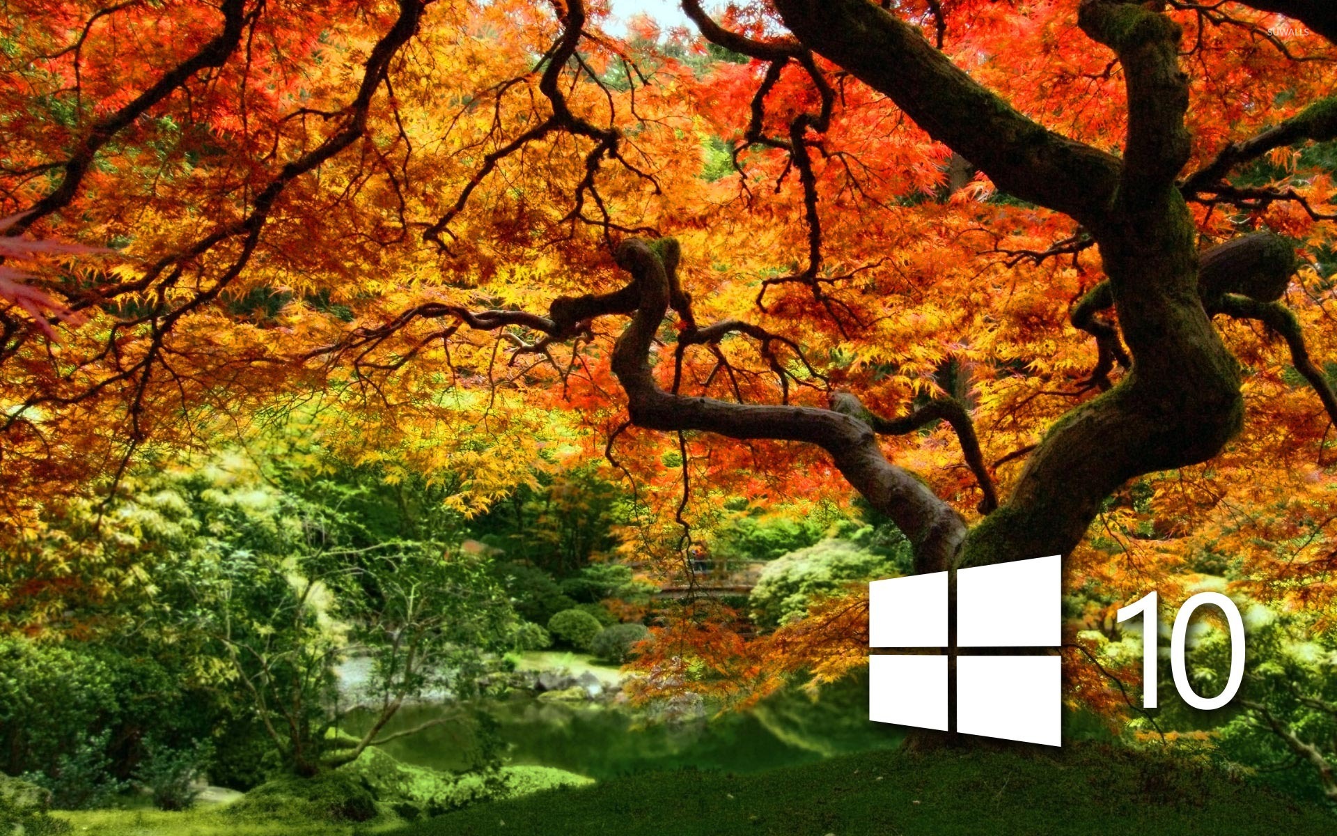 Windows 10 Logo Naturals , HD Wallpaper & Backgrounds