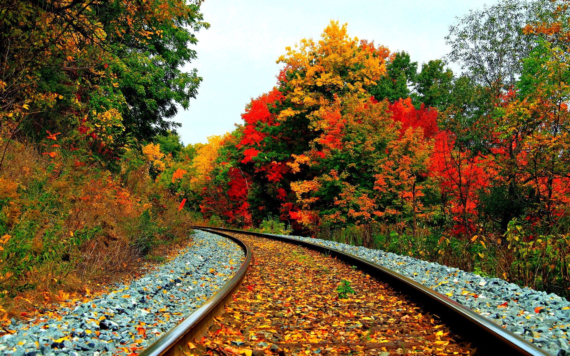 Nature Wallpapers High Quality - Train Tracks In Fall , HD Wallpaper & Backgrounds