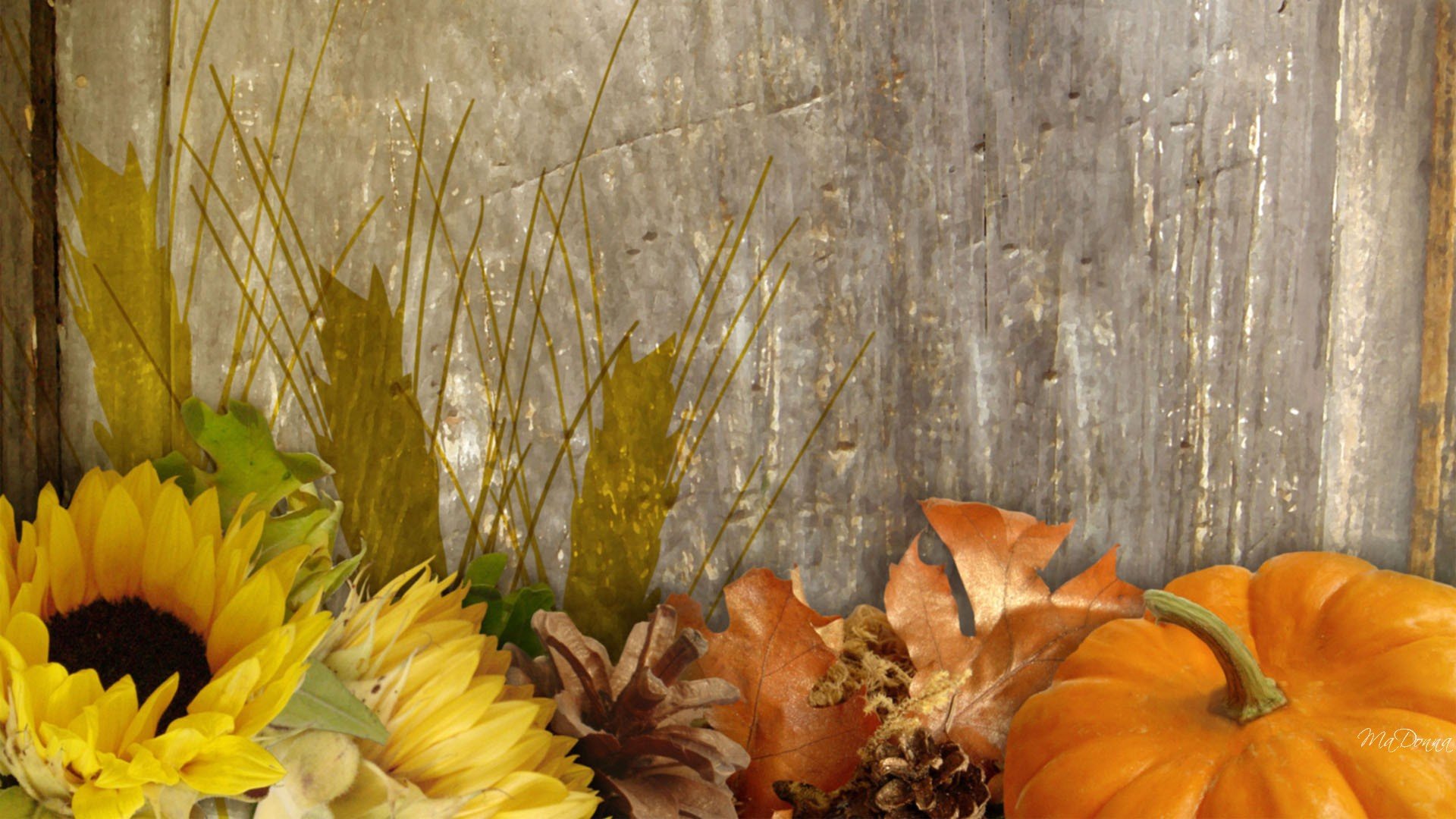 Fall Harvest Wallpapers High Quality Resolution Pumpkin - Harvest Desktop Background , HD Wallpaper & Backgrounds