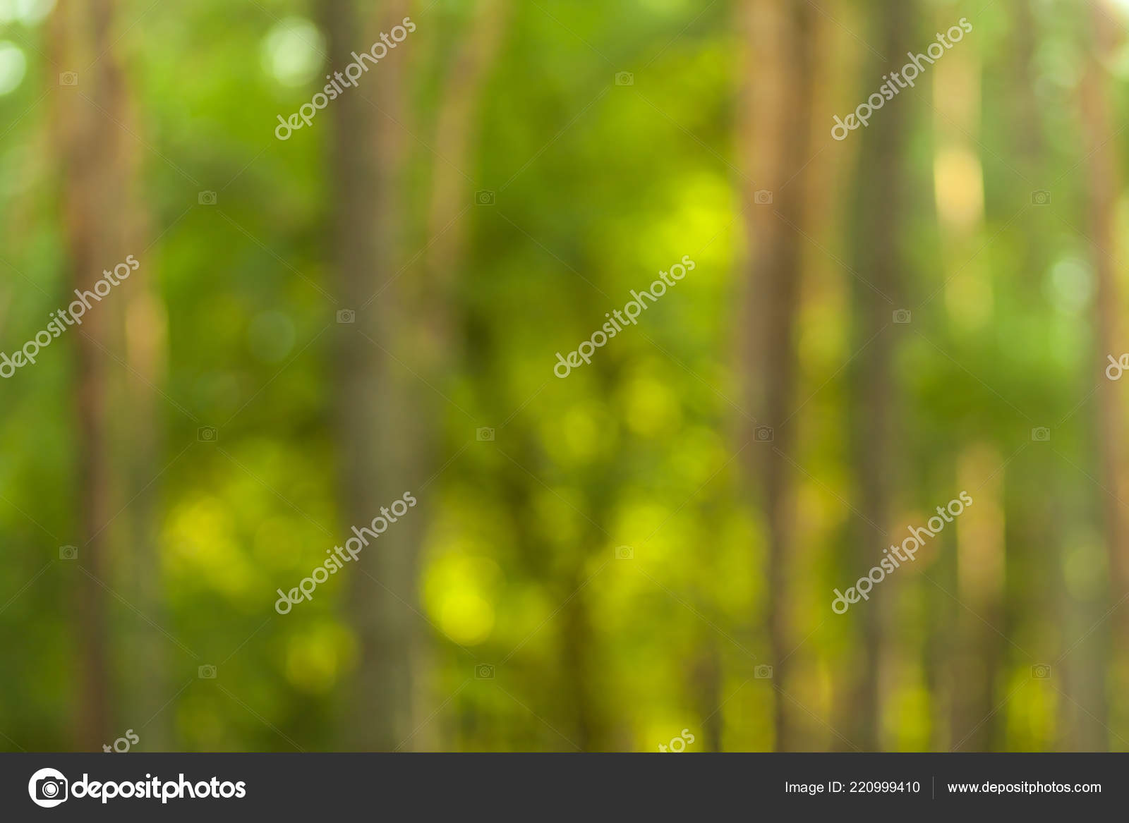 Blurry Nature Wallpaper , HD Wallpaper & Backgrounds