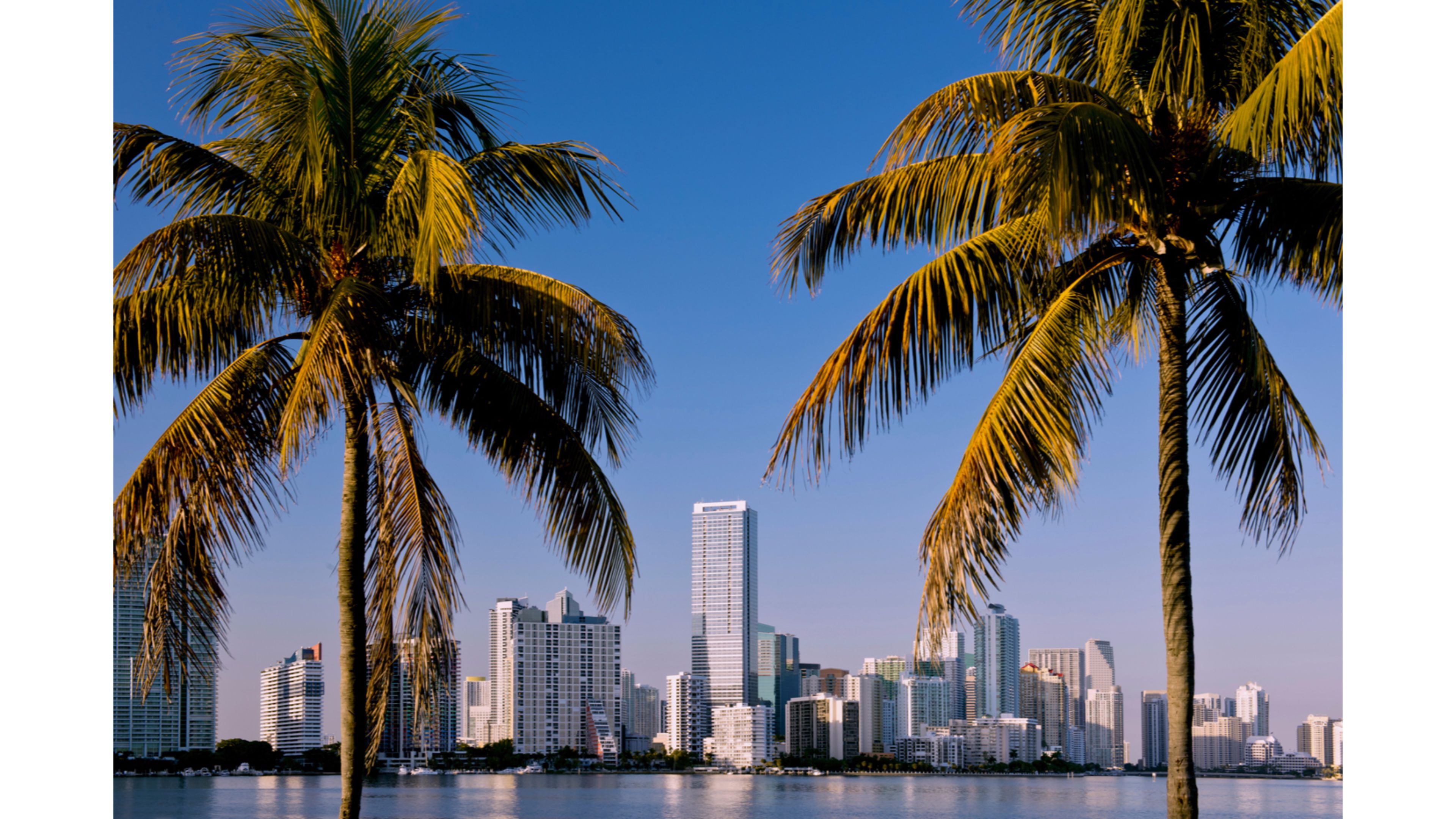 Vacation Miami Florida Wallpaper - Miami Florida , HD Wallpaper & Backgrounds