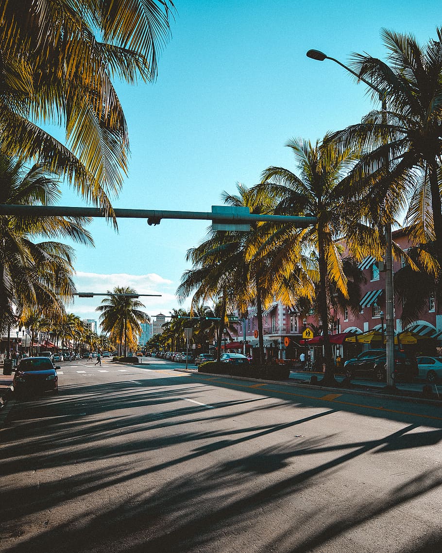 Miami, Florida, Sun, Sunshine, Palm Tree, Sunset, Shadow, - Miami Wallpaper Iphone , HD Wallpaper & Backgrounds