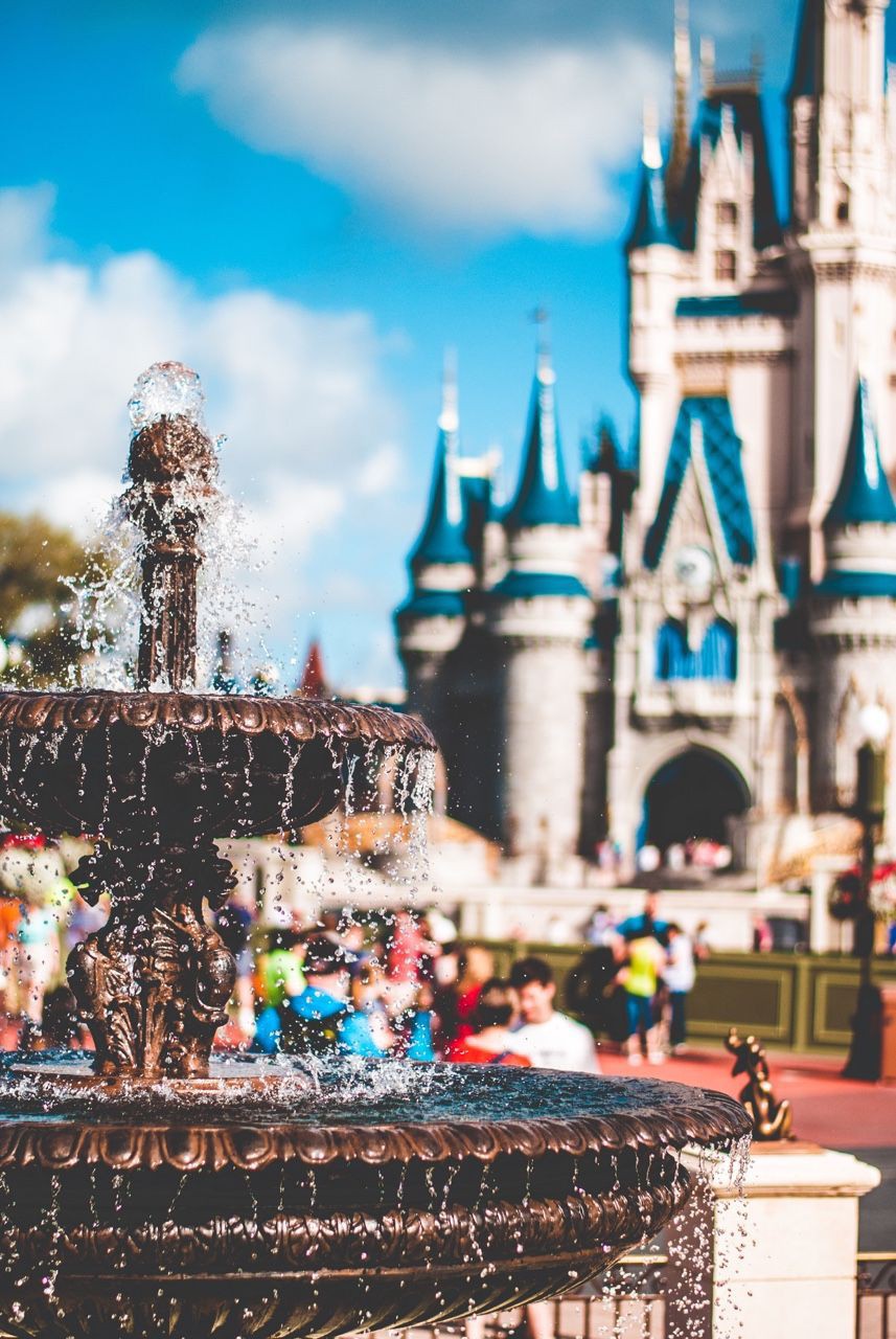 Orlando, Disneyland, Wallpaper And Background - Disney World , HD Wallpaper & Backgrounds