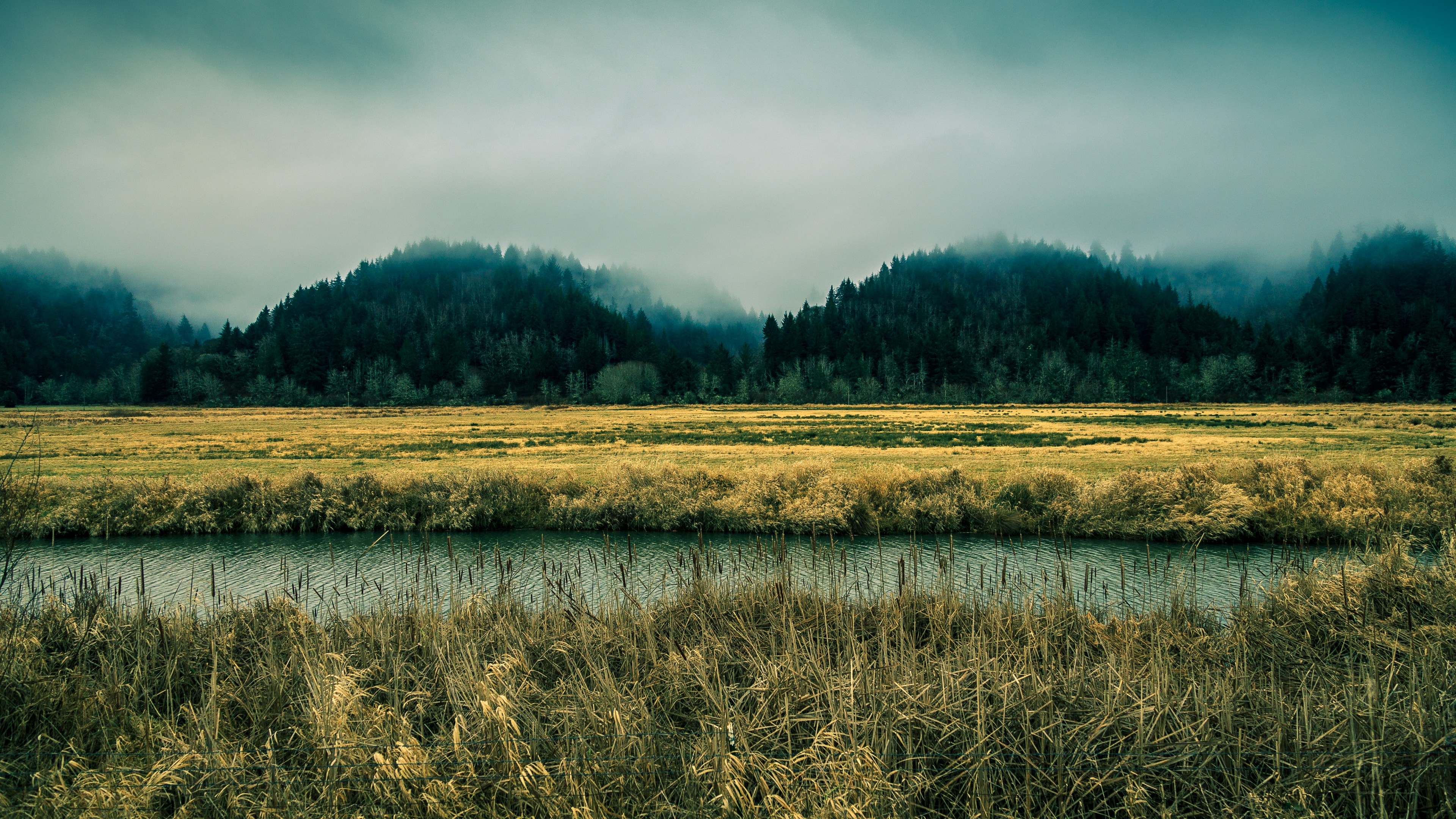 Marshland Oregon , HD Wallpaper & Backgrounds