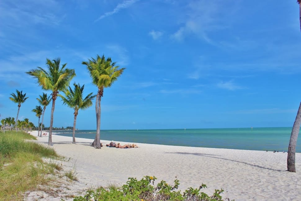Palm Trees, Florida, Ocean, Key, West, Palm Tree, Beach - Free Florida Palm Tree , HD Wallpaper & Backgrounds