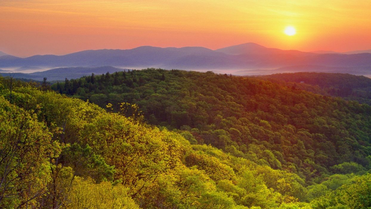 Sunrise Mountains Landscapes Forests Valleys Wilson - Grandfather Mountain , HD Wallpaper & Backgrounds