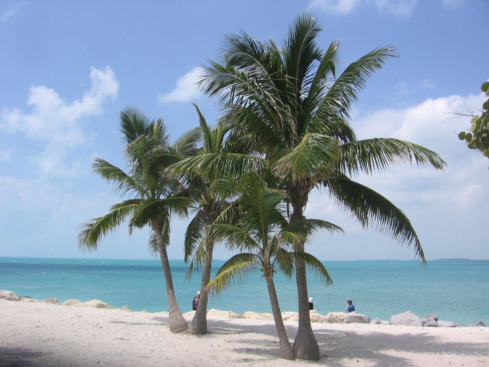 Key West Pictures - Florida Keys , HD Wallpaper & Backgrounds