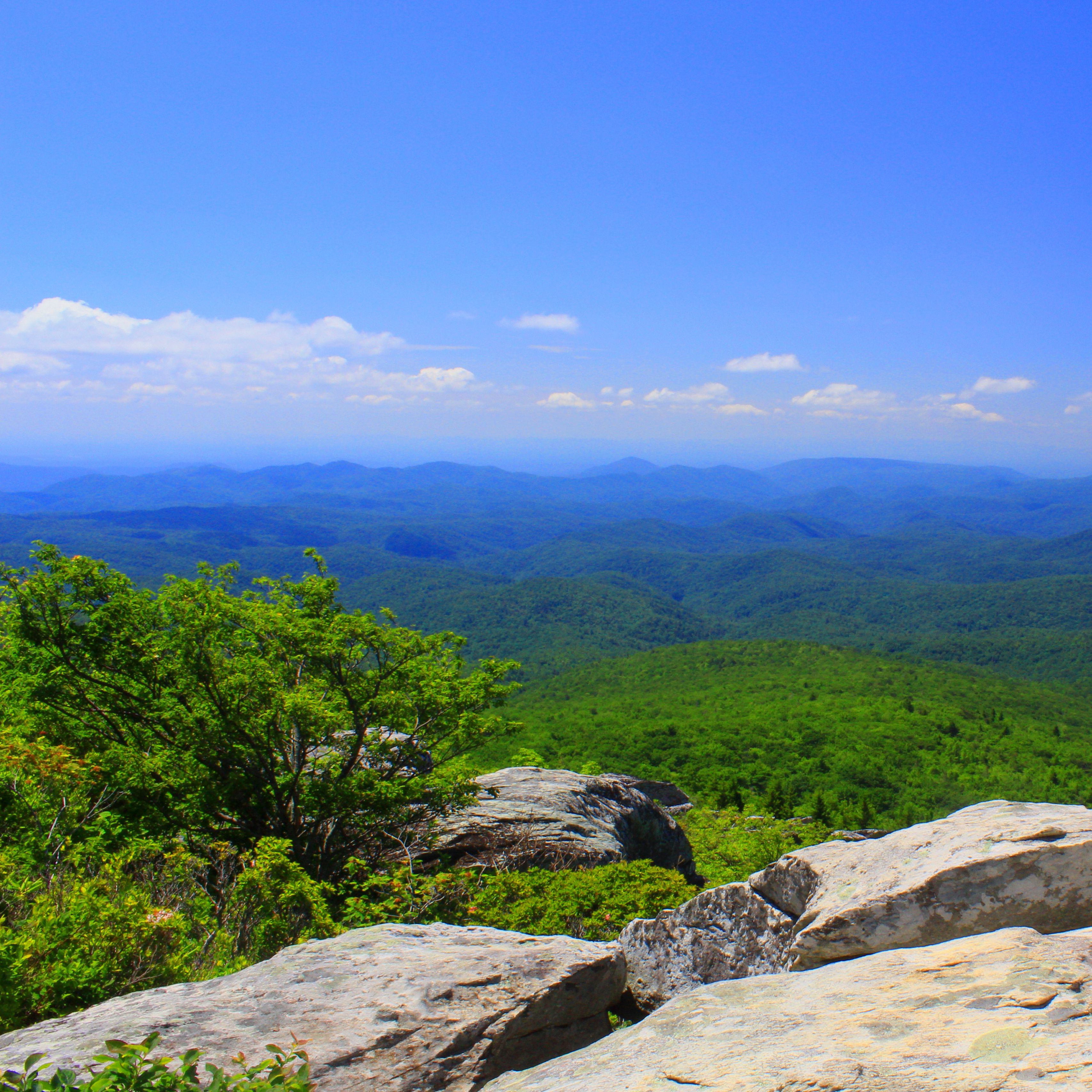 Wallpaper North Carolina, Mountains, Grass, Rocks - North Carolina Land For Sale Mountains , HD Wallpaper & Backgrounds