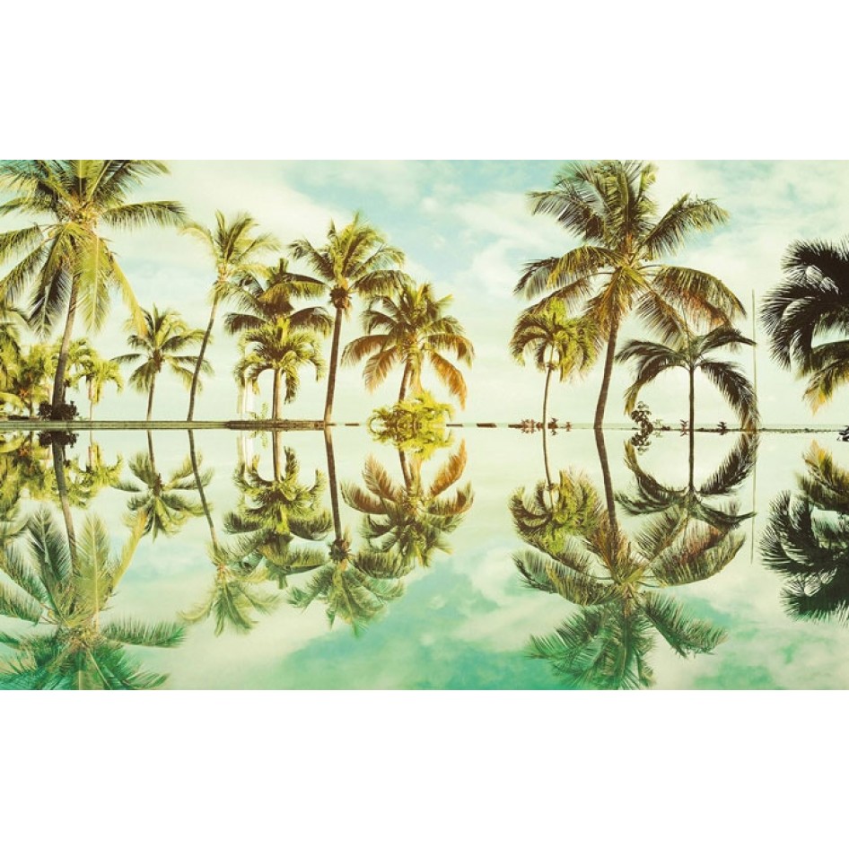 Komar Pure P012-vd4 Key West Mural - Macbook Wallpaper Palm Trees , HD Wallpaper & Backgrounds