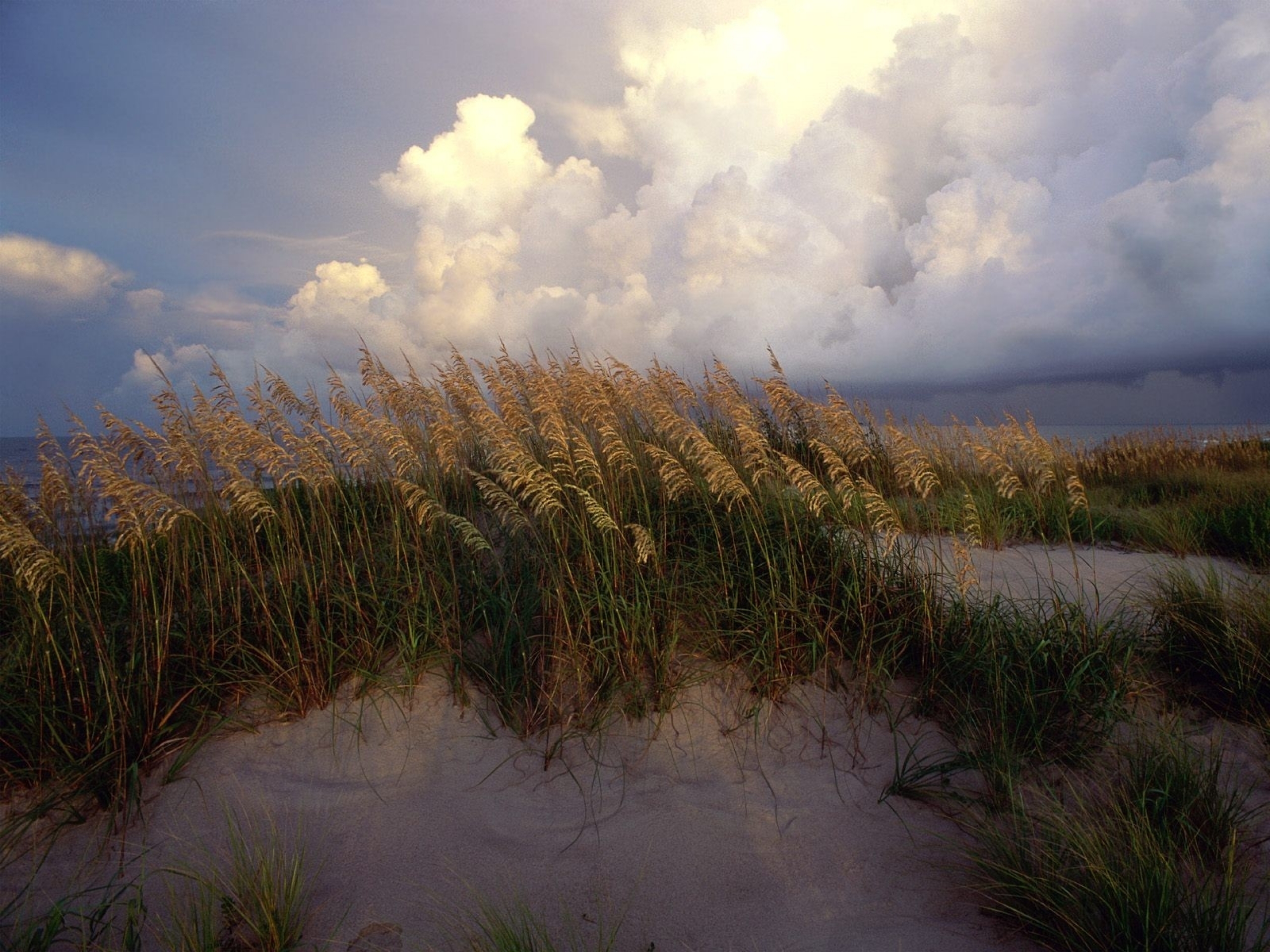 Cape Hatteras National Seashore , HD Wallpaper & Backgrounds