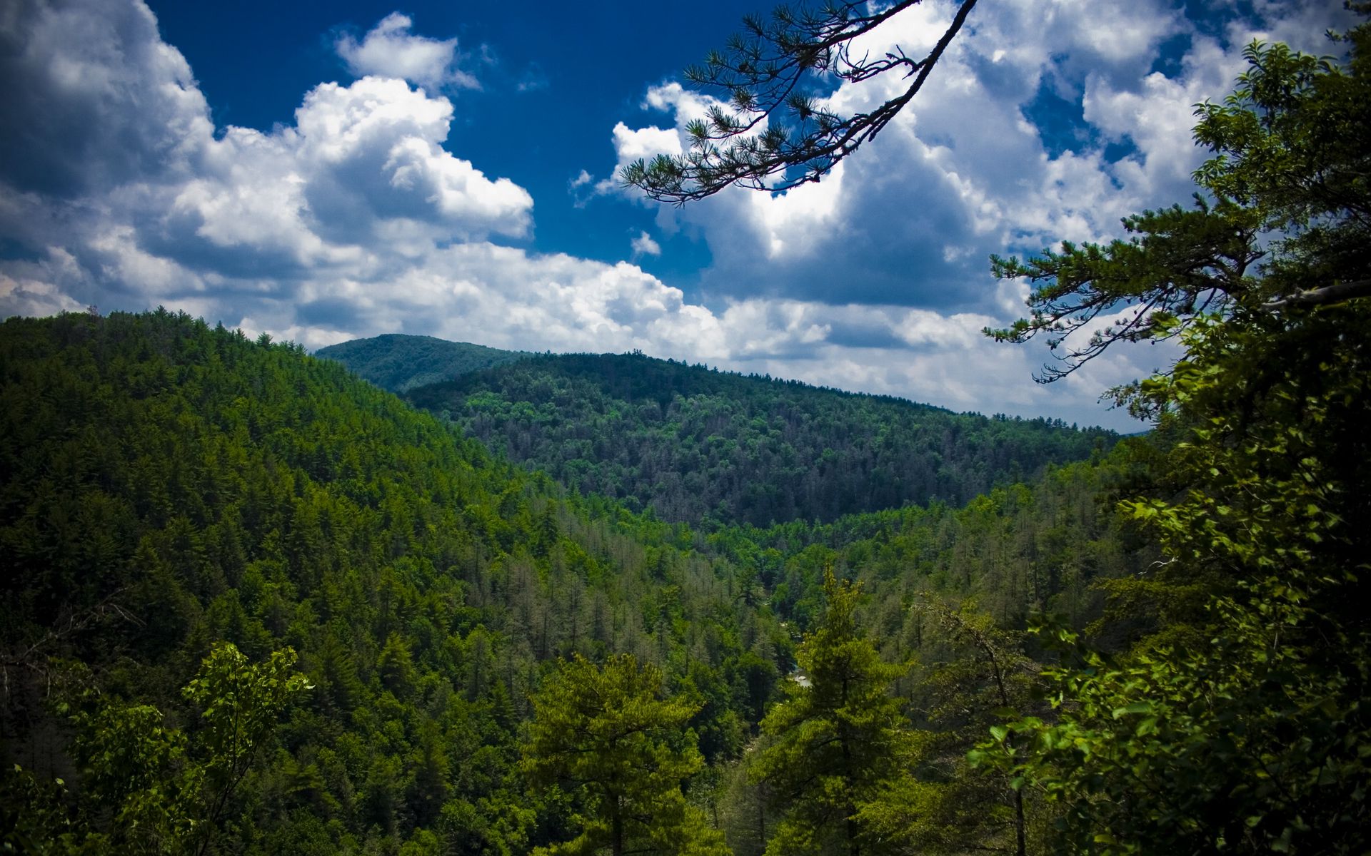 Wallpaper Mountains, Trees, View From Above, Sky, Linvill - North Carolina Desktop , HD Wallpaper & Backgrounds