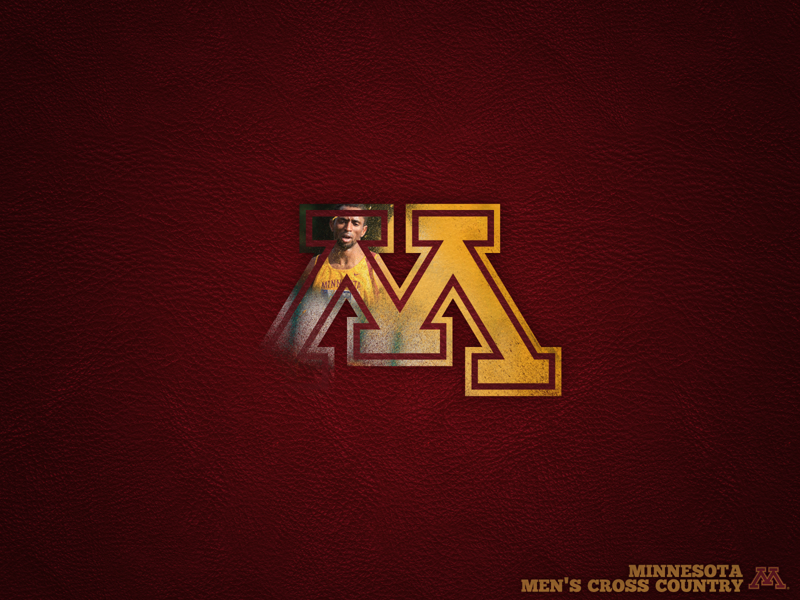 University Of Minnesota Official Athletic Site Multimedia - University Of Minnesota Background , HD Wallpaper & Backgrounds