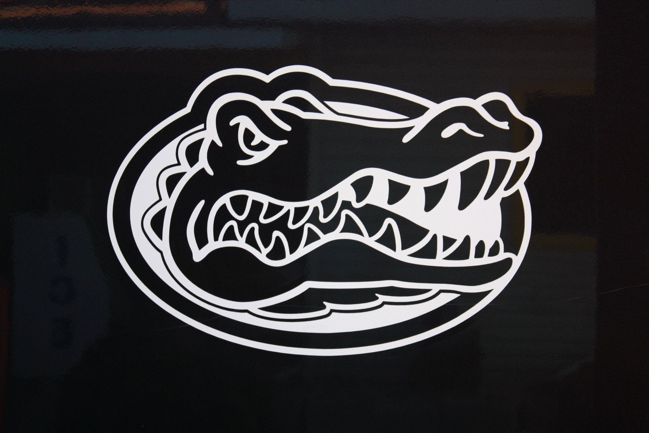 Florida Gators Black , HD Wallpaper & Backgrounds