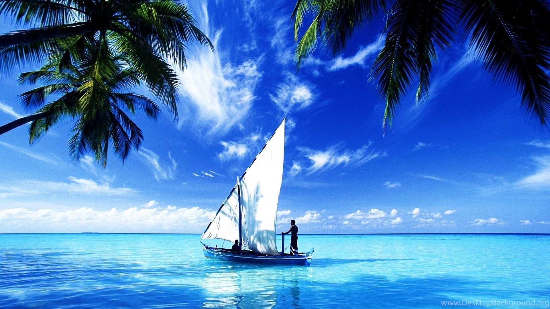 Get Yourself Beautiful Ocean Wallpaper - Sail Boats And Palm Trees , HD Wallpaper & Backgrounds