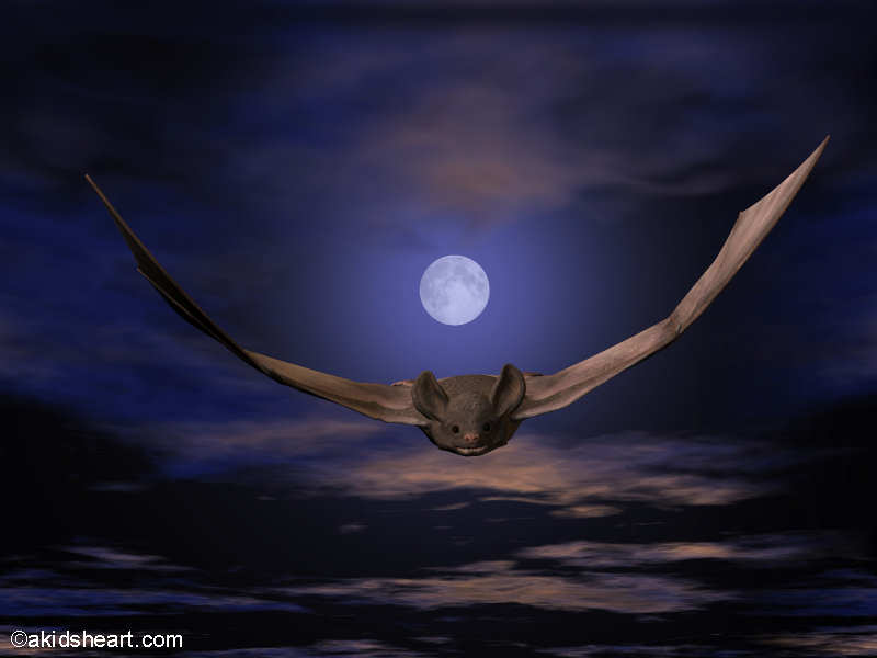 Bat Computer Wallpaper Bible Verse Desktop Wallpaper - Moon , HD Wallpaper & Backgrounds