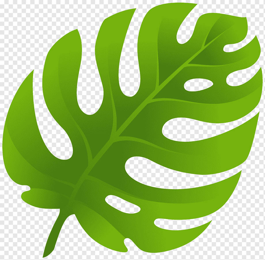 Green Leaf, Leaf, Monstera, Grass, Plant Stem, Desktop - Tropical Leaves Silhouette Png , HD Wallpaper & Backgrounds
