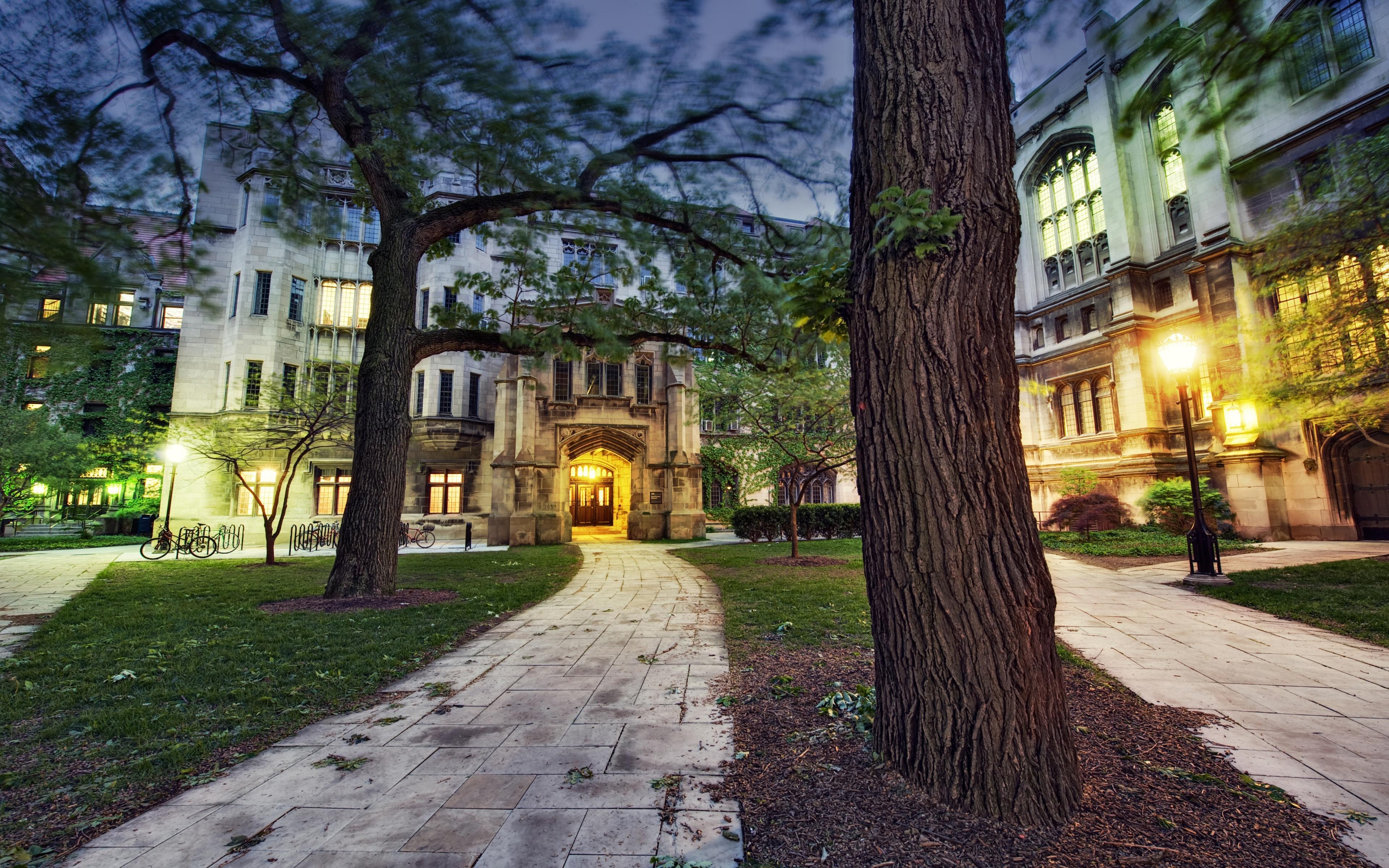 Chicago City Wallpaper - Zf Wadia Women's College , HD Wallpaper & Backgrounds